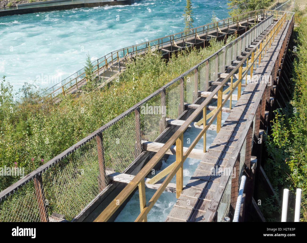 Whitehorse Salmon Fishladder Yukon River Canada Stock Photo Alamy