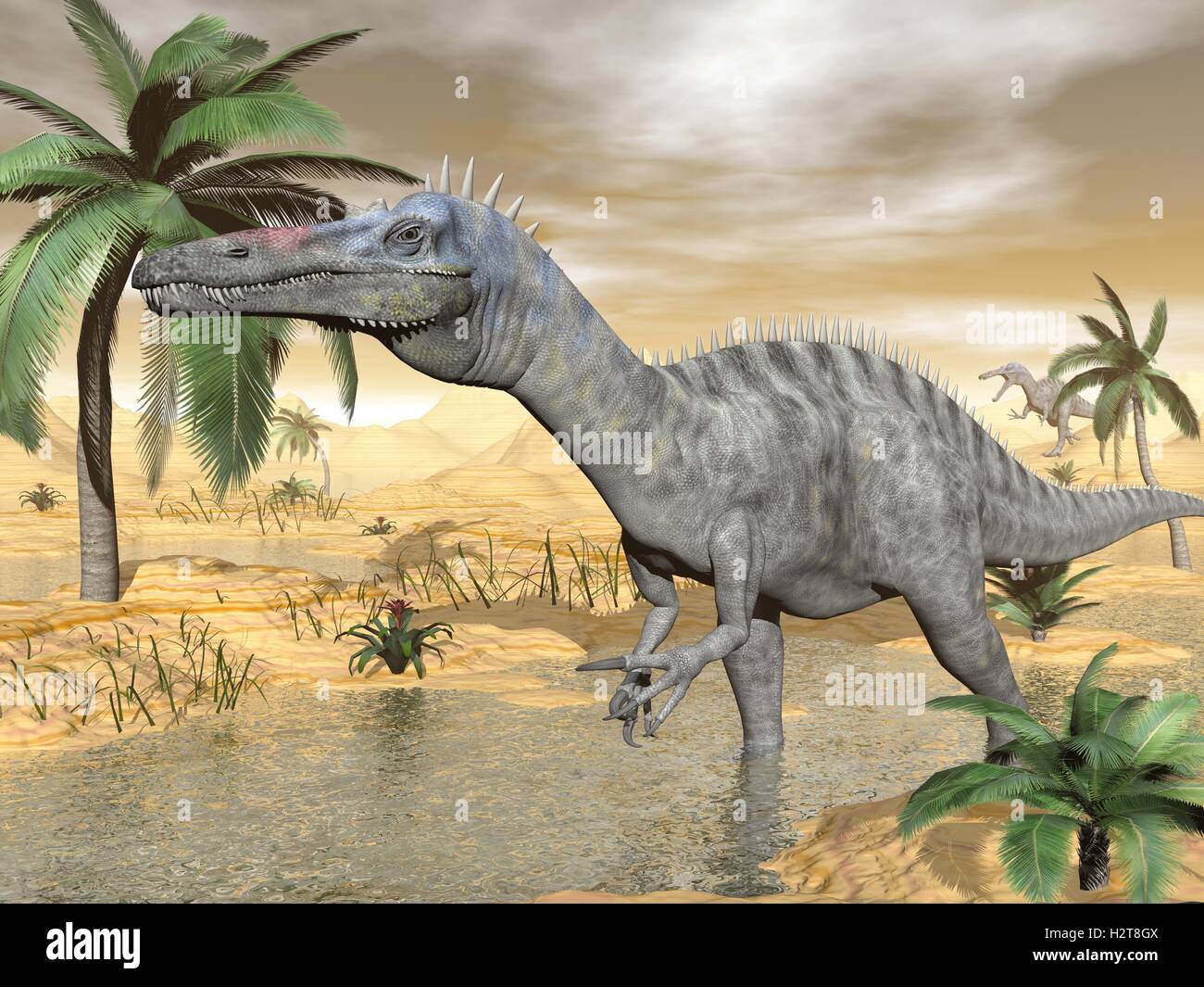 Suchomimus dinosaurs in desert - 3D render Stock Photo