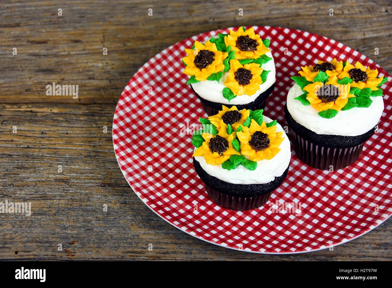 sunflower frosting design on chocolate cupcakes on red and white checkered plate Stock Photo