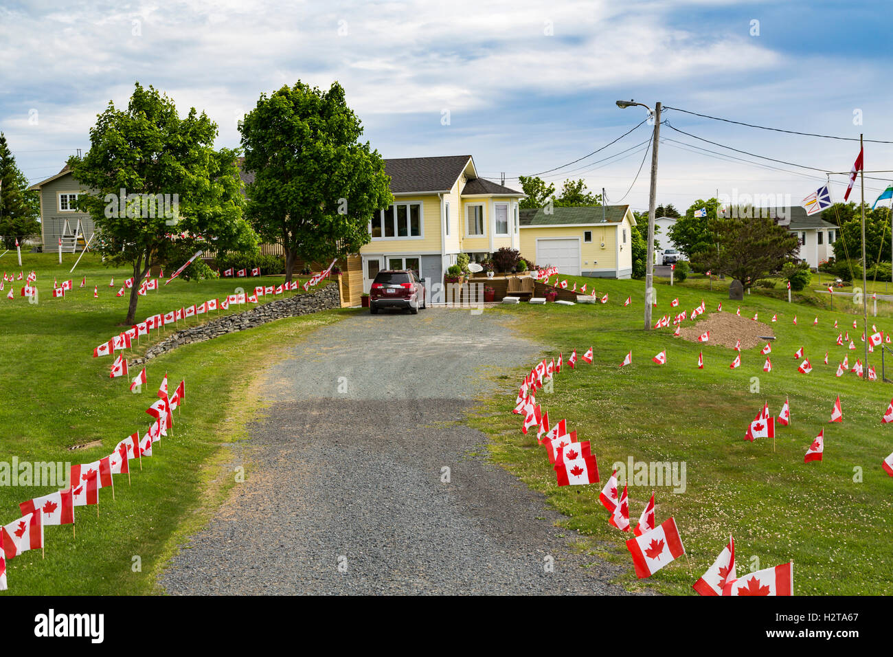 Canada Day flags at a home in Port de Grave, Newfoundland and Labrador