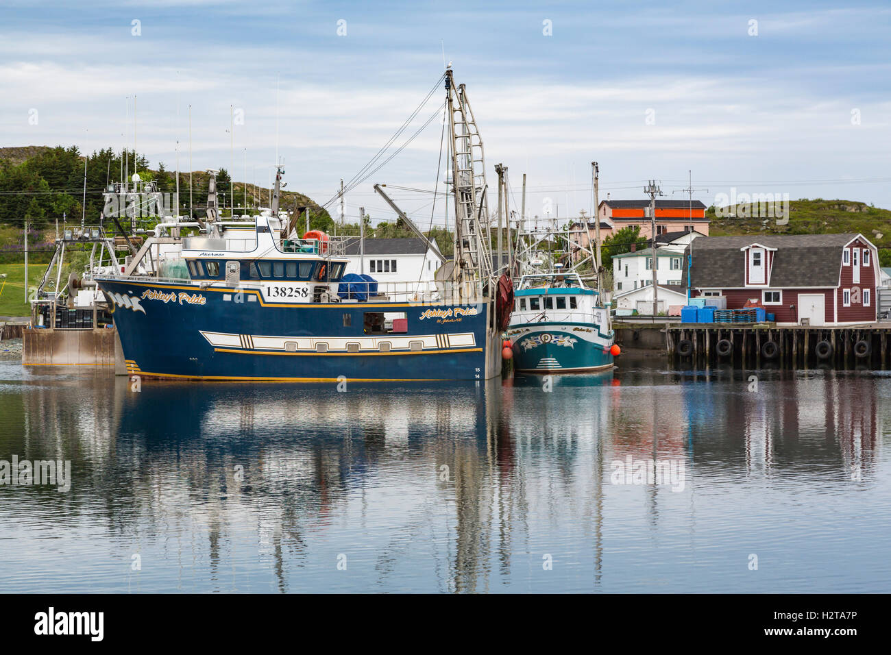 Fishing boats in the harbor at Port de Grave, Newfoundland and Labrador