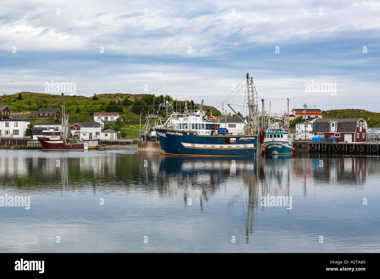 Fishing boats in the harbor at Port de Grave, Newfoundland and Labrador
