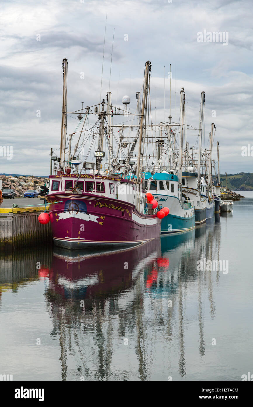 Fishing boats in the harbor at Port de Grave, Newfoundland and Labrador