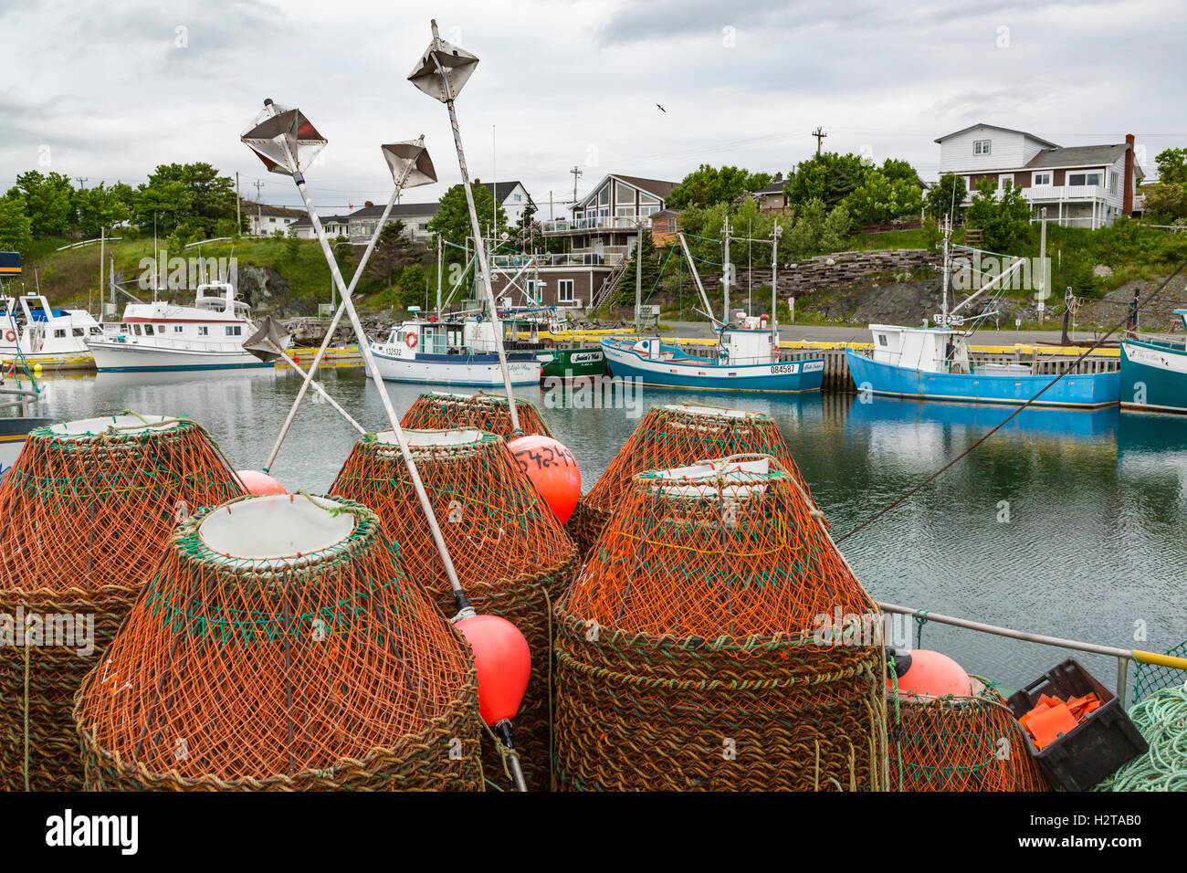 Fishing boats in the harbor at Port de Grave, Newfoundland and Labrador