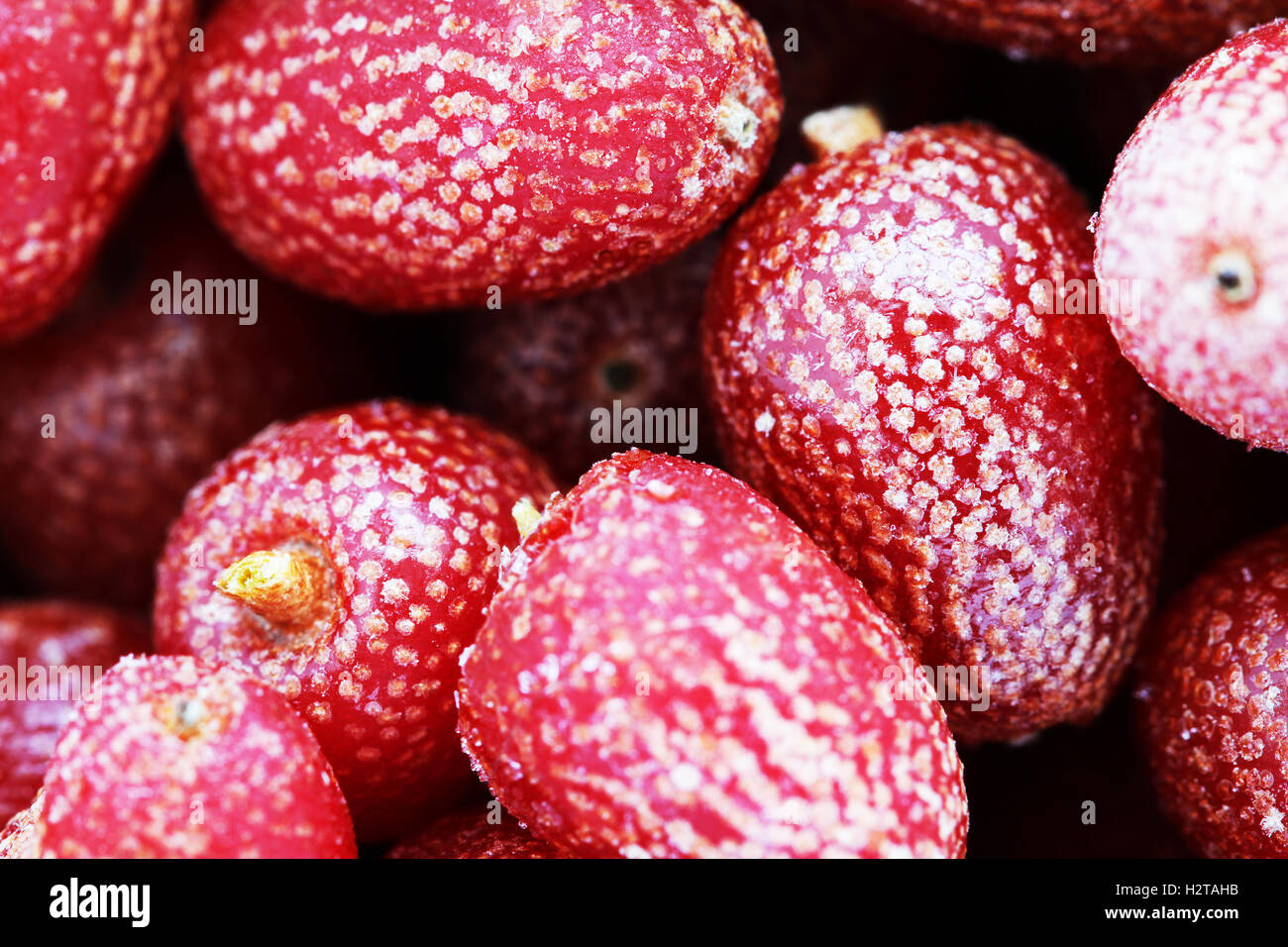 Goji berries frozen background close up macro phoro Stock Photo