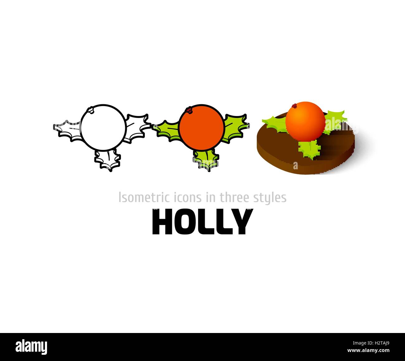Holly icon in different style Stock Vector Image & Art - Alamy