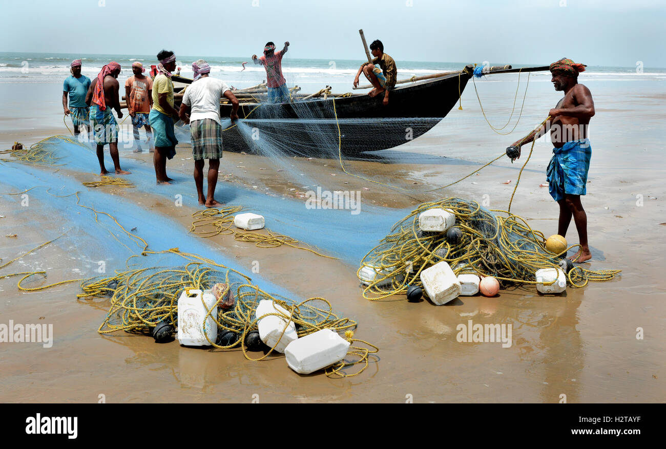 Group of Indian fishermen pulling the net on the beach of Mandarmani,  Digha, West Bengal, India Stock Photo - Alamy
