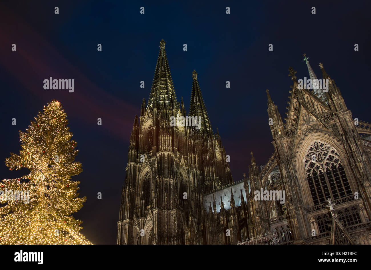 cologne cathedral with bright christmas tree Stock Photo