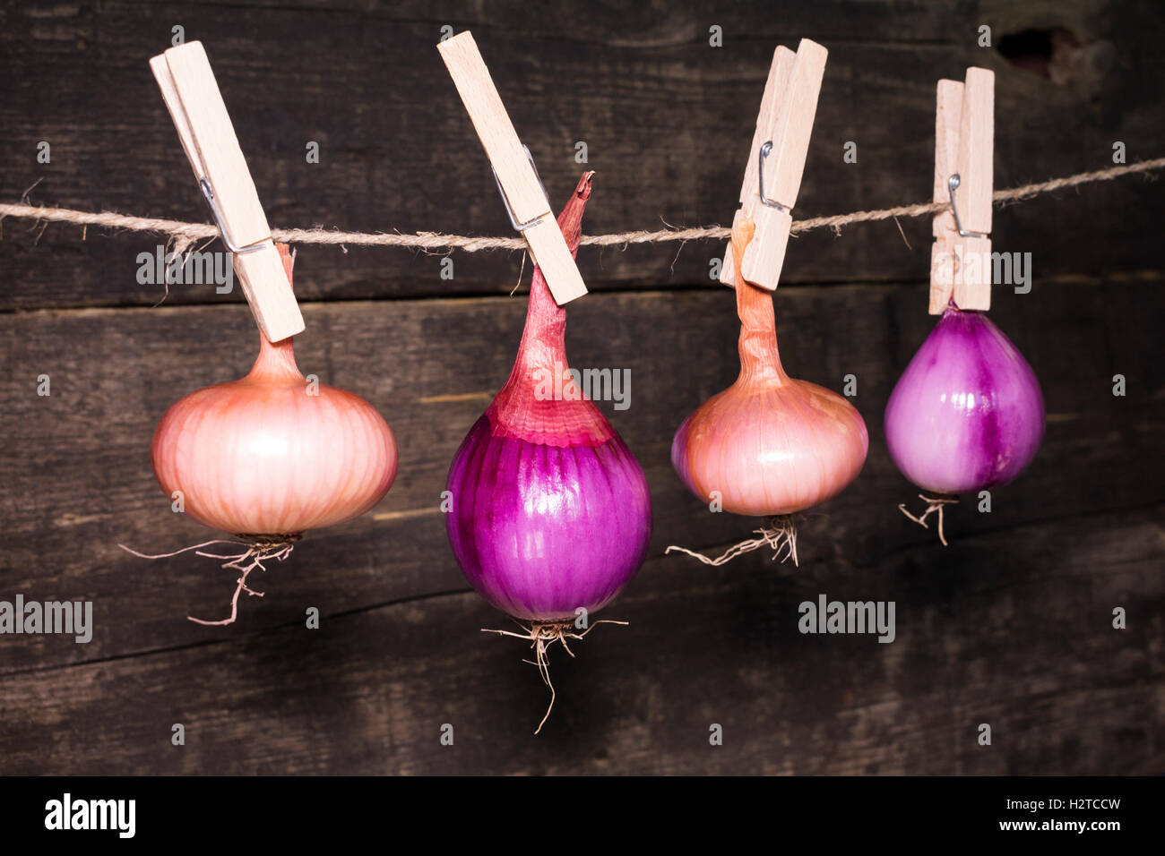 Rope of onions hi-res stock photography and images - Alamy