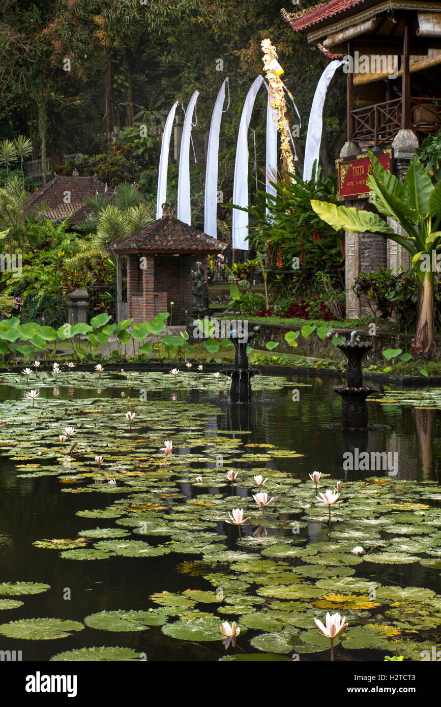 Indonesia, Bali, Tirta Gangga, Ababi, Water Palace, lily pond and pavilion Stock Photo