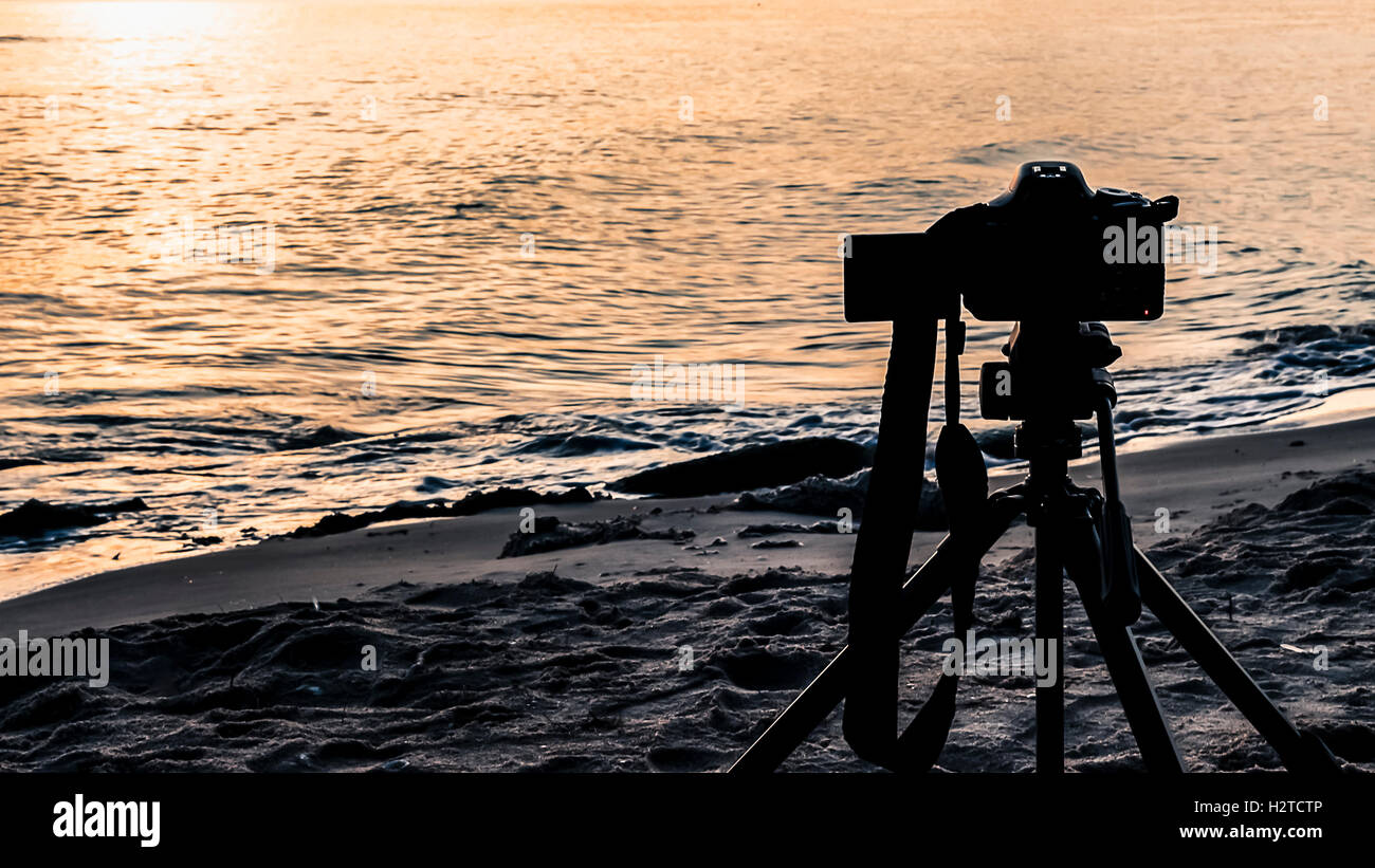 Nature photography with a digital camera tripod Stock Photo - Alamy
