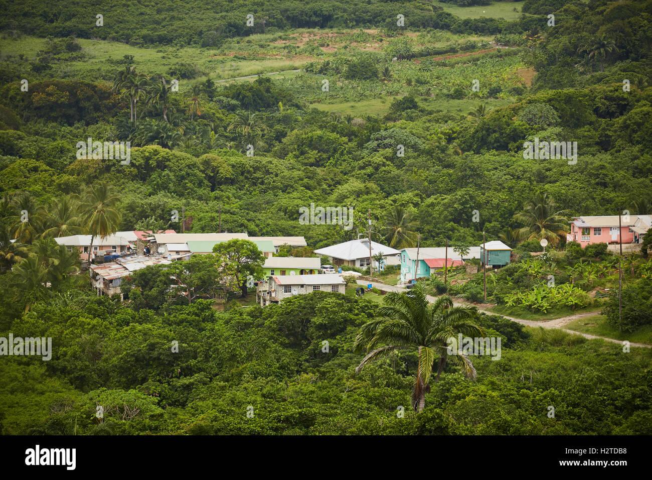 Barbados atlantic coast  village rural landscape   Village typical local houses Chattel Houses green trees woods Private Houses Stock Photo