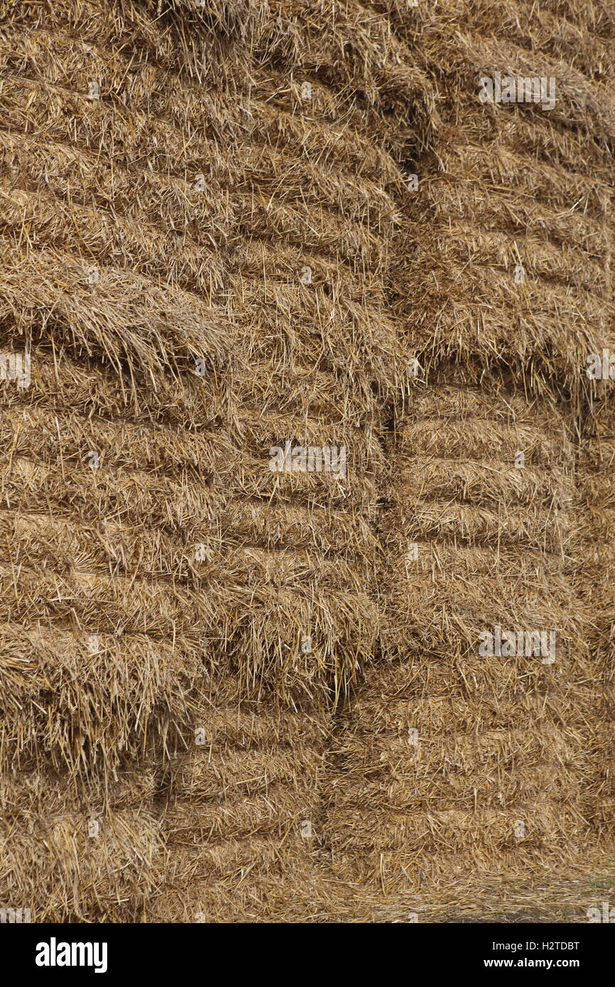 Large square Straw bales stack Stock Photo Alamy