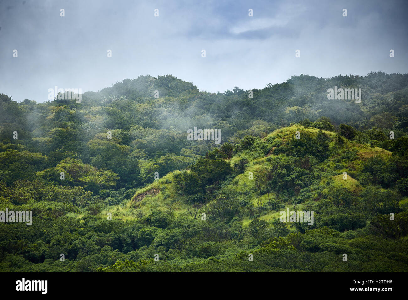 Barbados hills mist landscape typical Scotland district north of the island copyspace landscape