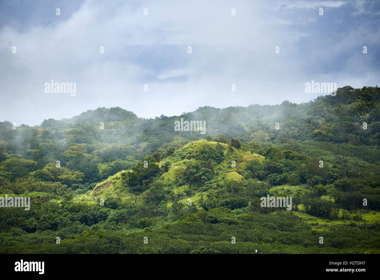 Barbados hills mist landscape typical Scotland district north of the island copyspace landscape