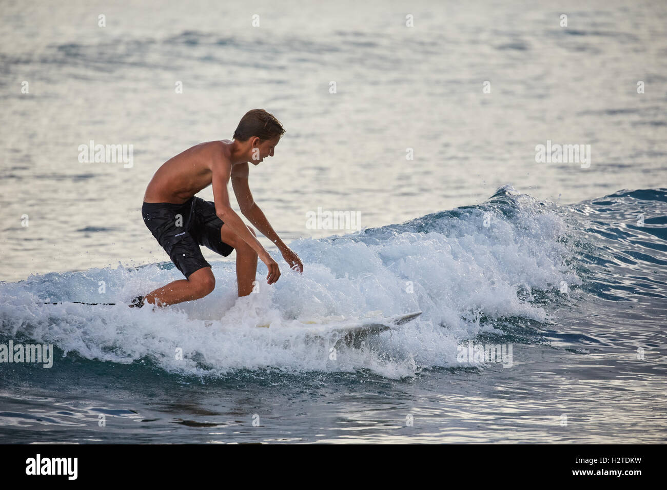 Barbados Bridgetown surfers pretty Young boy man teenagers surfing