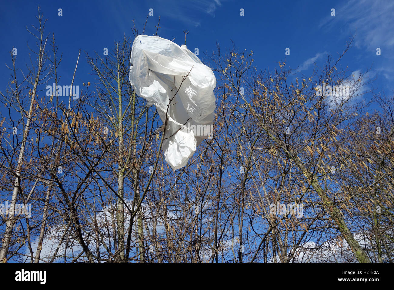 Plastic bag tree hires stock photography and images Alamy