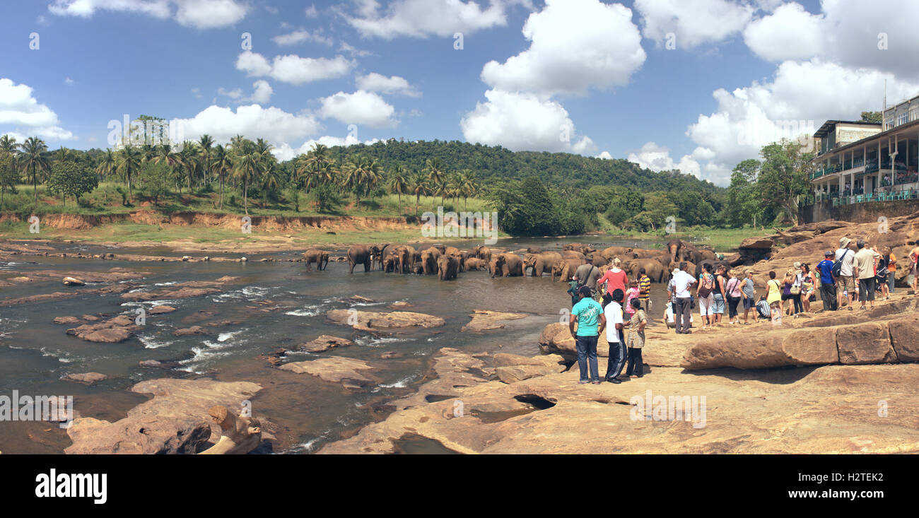 Sri lanka family funny hi-res stock photography and images - Alamy