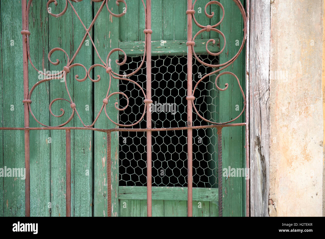 Rustic green wooden door with wire mesh window; Heart iron fence. Stock Photo