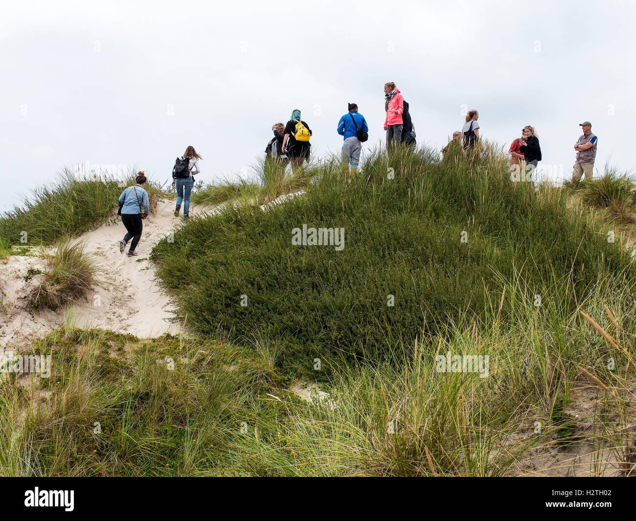 Dunes on Schiermonnikoog Island province Friesland, Netherlands Stock Photo