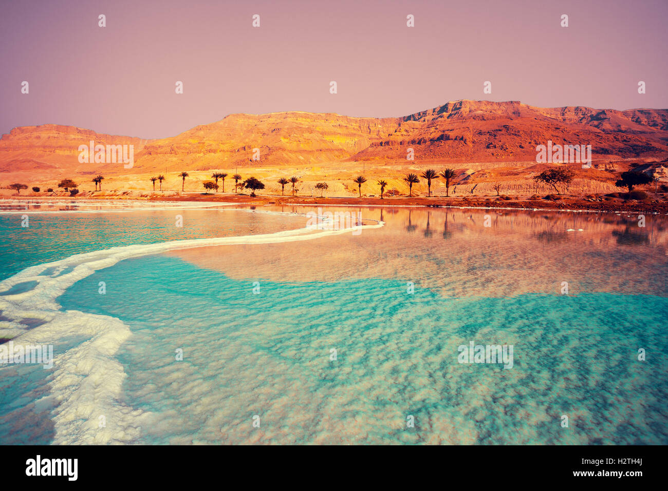 Dead Sea seashore with palm trees and mountains on background Stock Photo