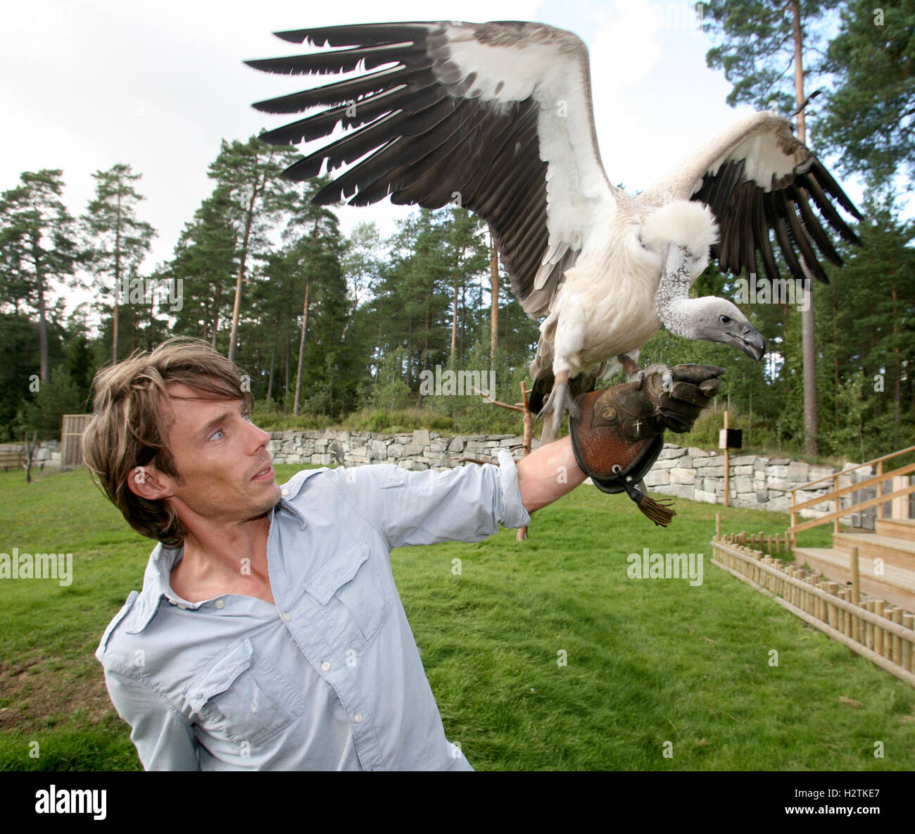 OLA LINDHOLM Host for Children´s program at Sweden television related to natural interests,here with a Vulture Stock Photo