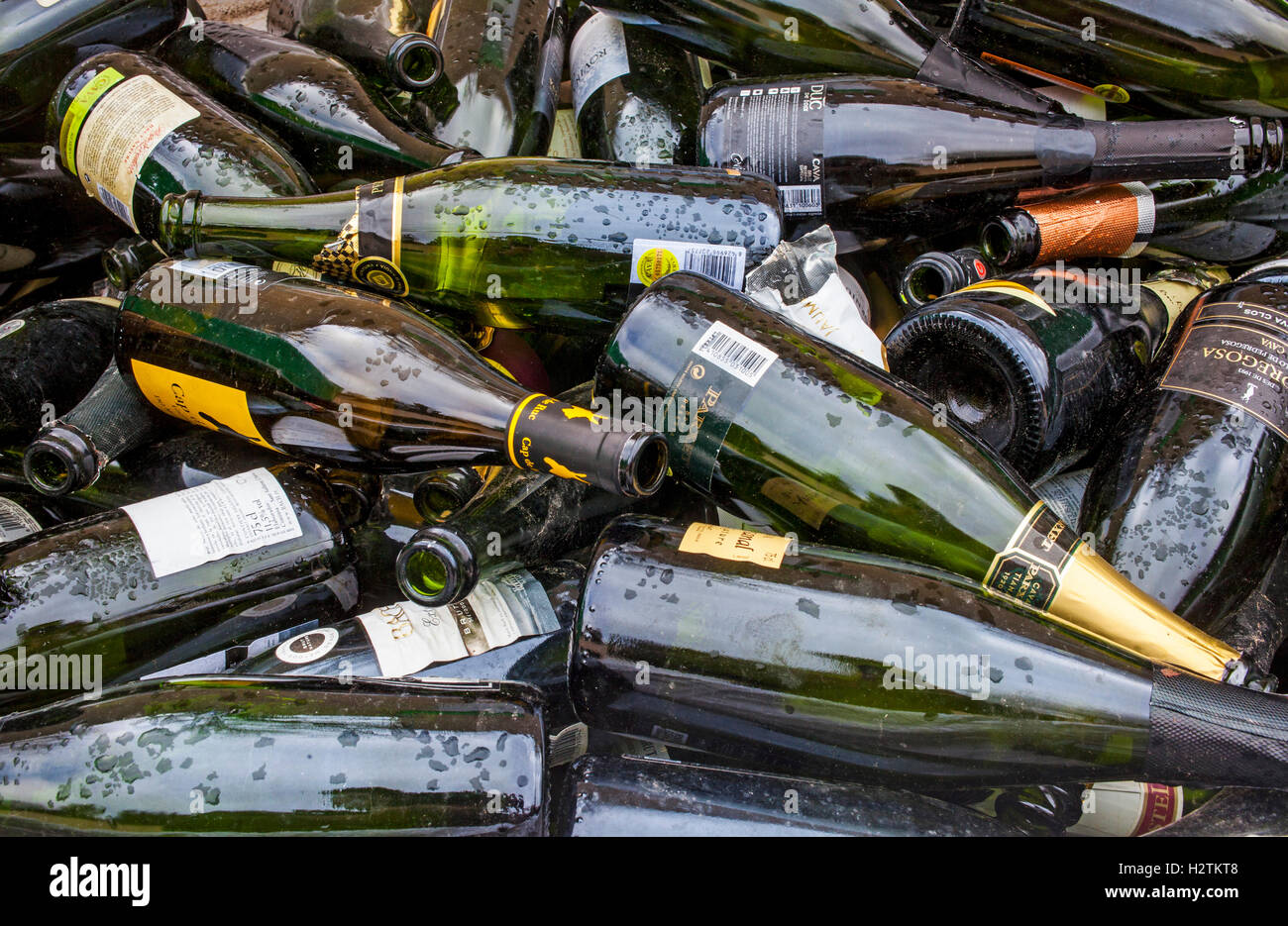 Bottles of champagne storage to recycle, recycling center Stock Photo