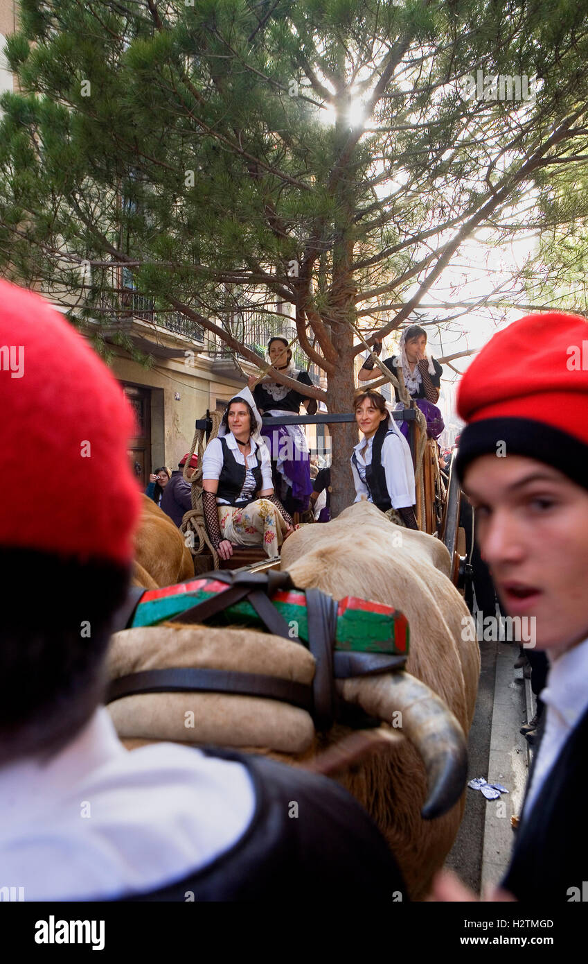 Pine festival, Centelles, Barcelona province, Catalonia, Spain Stock