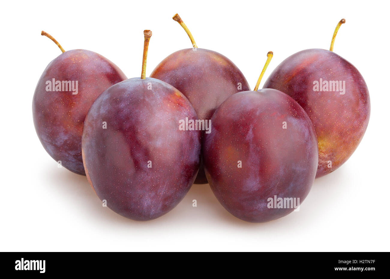 plums isolated Stock Photo