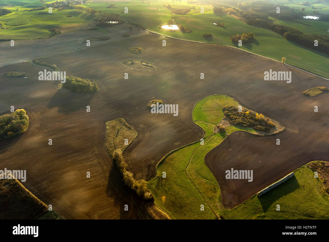 Aerial picture, fields, acres with enclosed meadow in the form of a dog head Snoopy, Hohenzieritz, Mecklenburg lowland Stock Photo