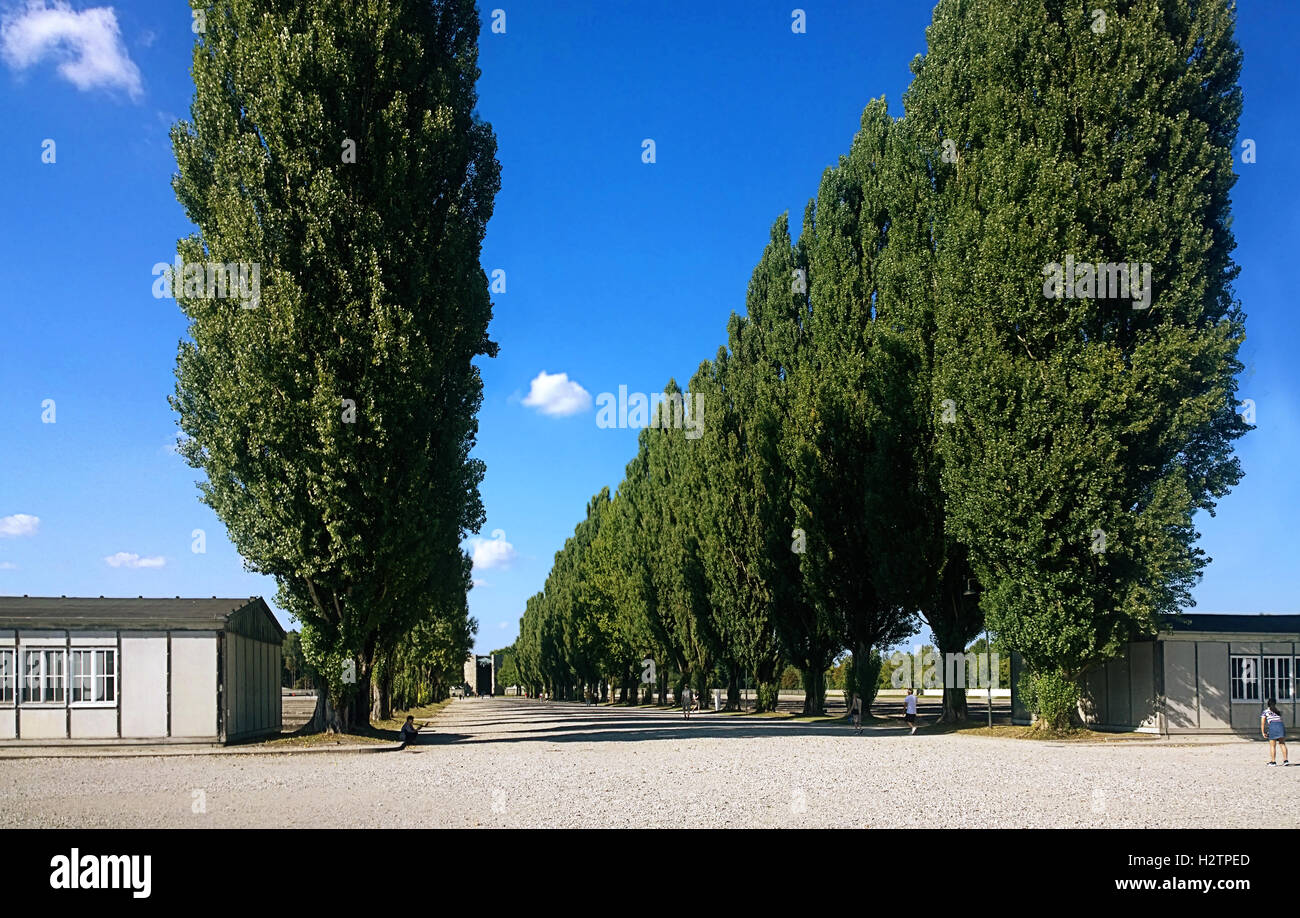 Dachau, Germany - Nazi concentration camp, camp road flanked by high trees between barracks areas Stock Photo