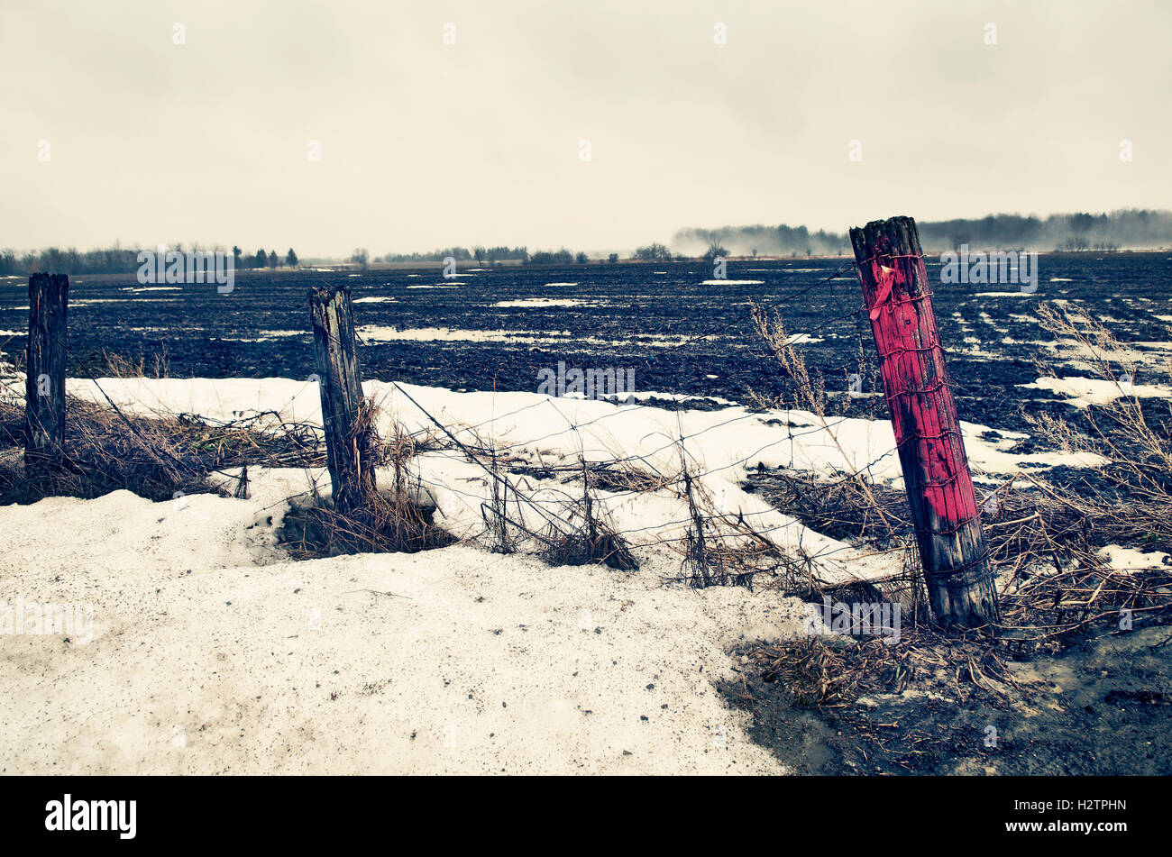 Wire fence and farm field, Milton, Ontario, Canada Stock Photo Alamy