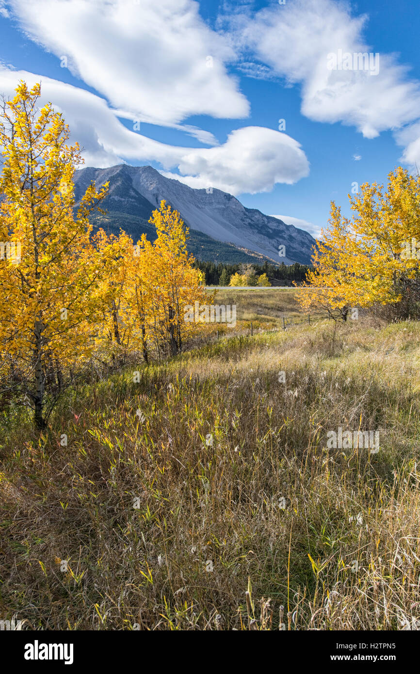 Turtle Mountain in the Crowsnest Pass, Alberta Canada Stock Photo Alamy