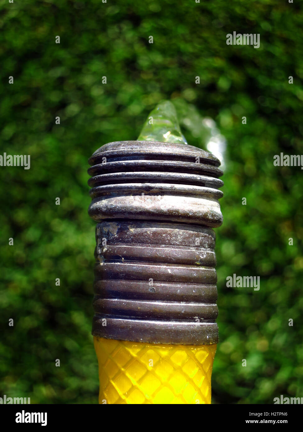 Detail of yellow hose squirting shooting fresh water on green grass lawn Stock Photo