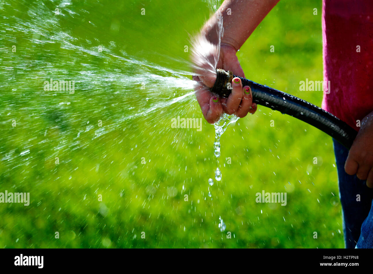 Hand and hose squirting shooting fresh water on green grass lawn Stock Photo