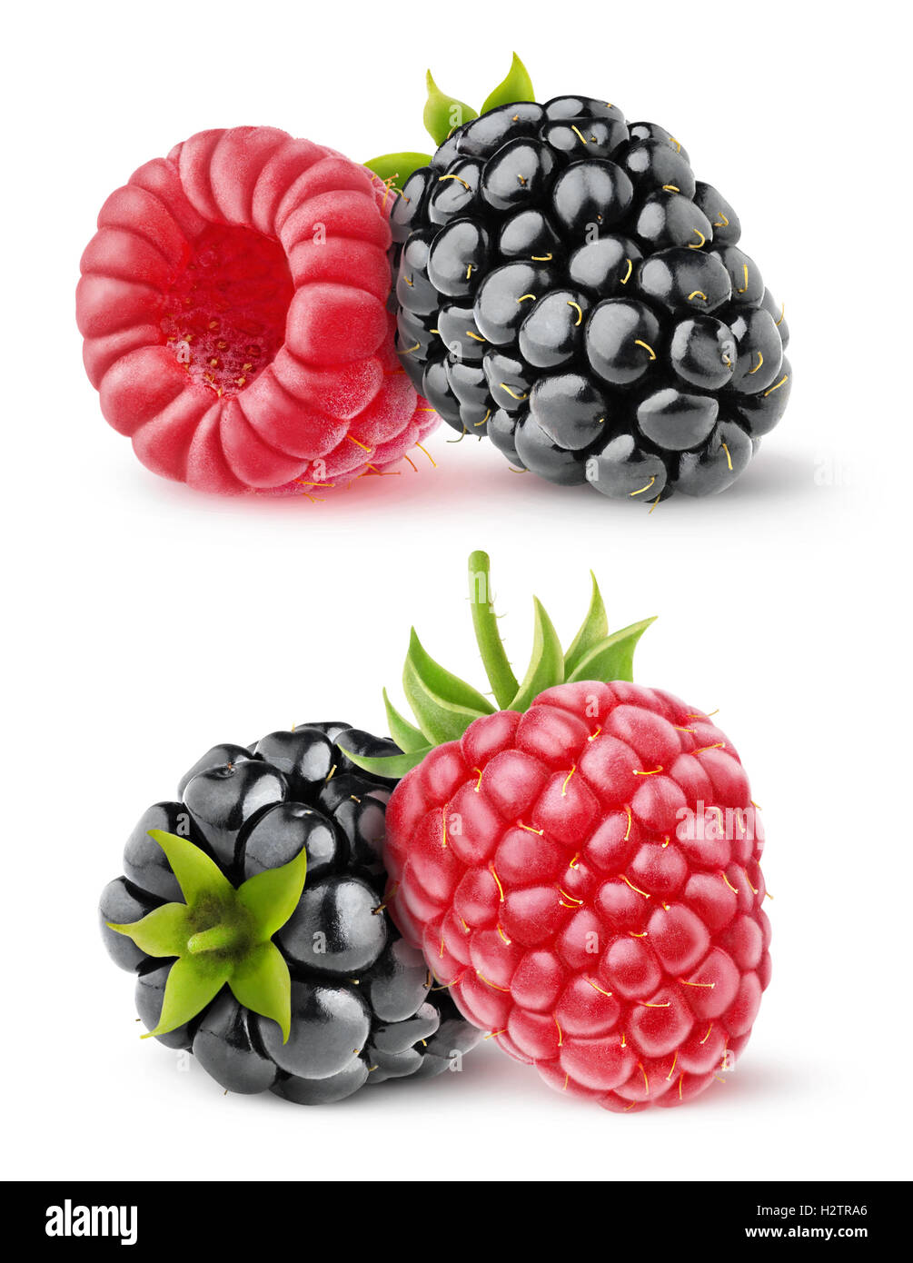 Isolated berries. Two images of blackberry and raspberry fruits ...