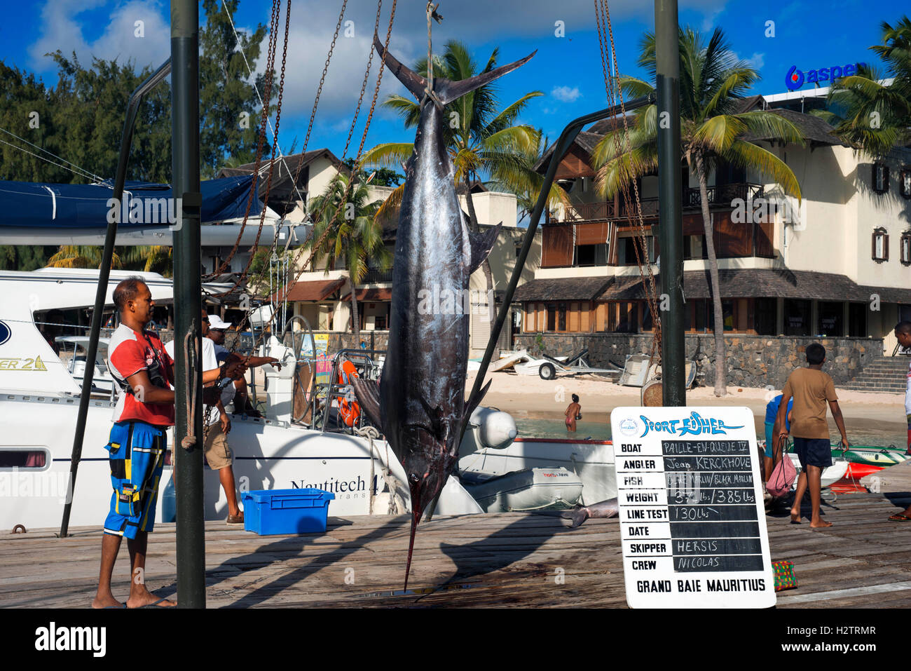 Fishers with swordfishes in Grand Baie, Riviere Du Rempart, Mauritius, Indian Ocean, Africa Stock Photo