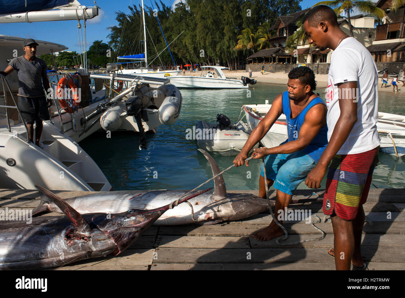 Fishers with swordfishes in Grand Baie, Riviere Du Rempart, Mauritius, Indian Ocean, Africa Stock Photo