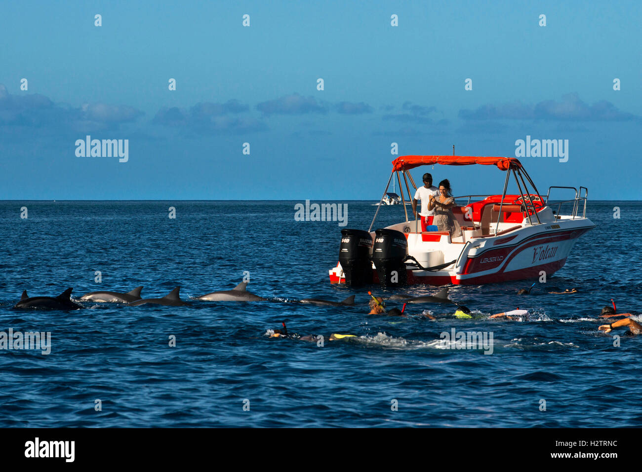 Tourists snorkeling and swimming with dolphins in the Baie de la Grande Rivière Noire, La Preneuse, Black River, Mauritius. Stock Photo