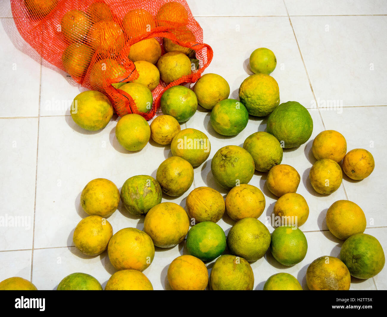 A bag of oranges spilled on a tile floor. A large bag of freshly picked and rather rough oranges spills out onto a tiled floor. Stock Photo