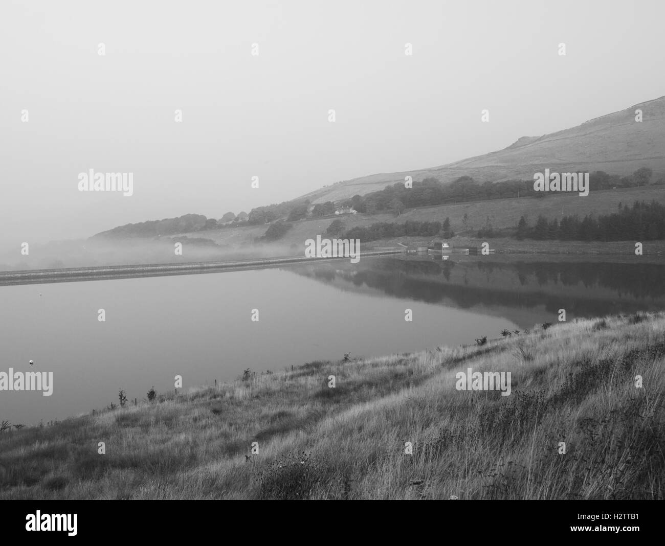 The water outlet in mist from near lonely tree, Dovestone Reservoir, Greenfield Stock Photo