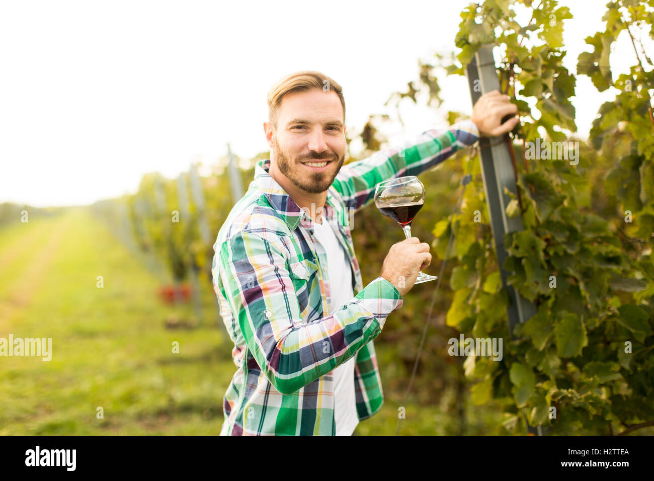 Young winemaker tasting red wine in vineyard Stock Photo