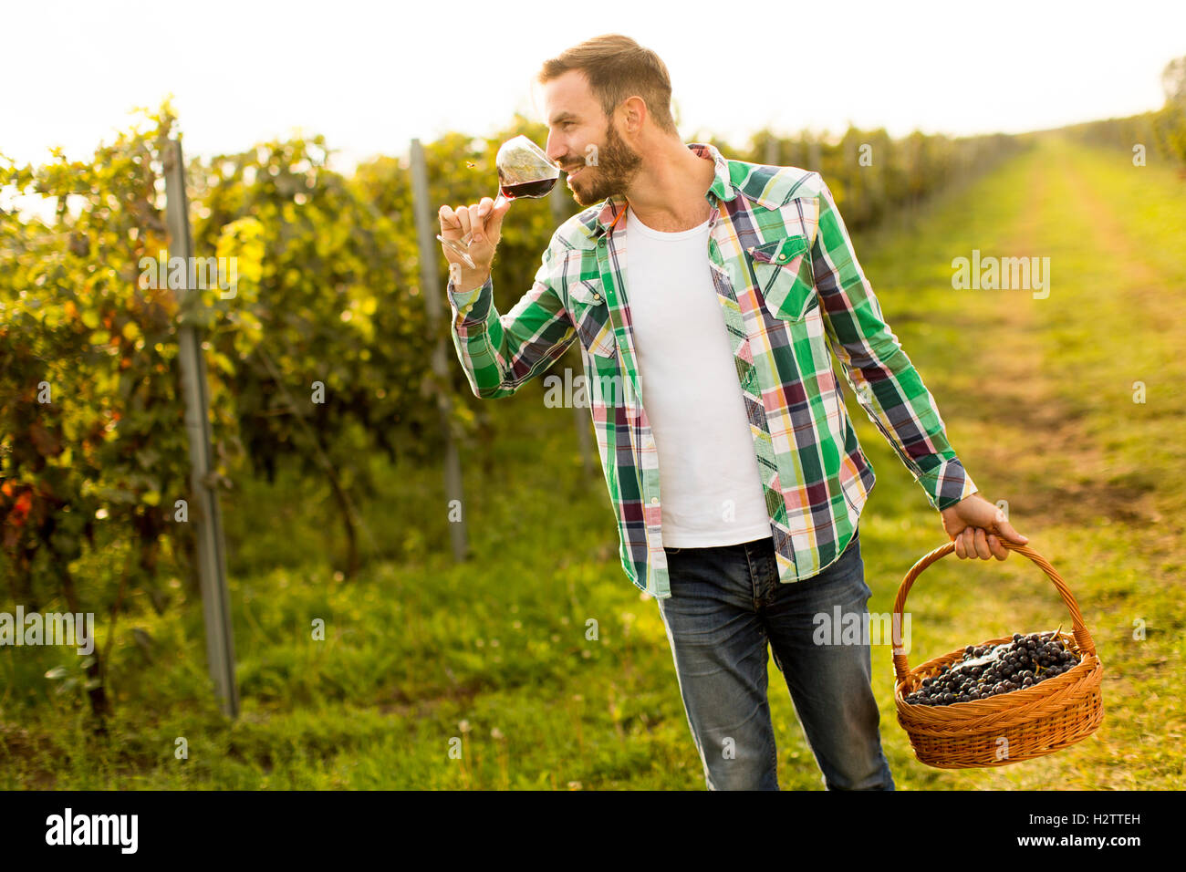 Young winemaker tasting red wine in vineyard Stock Photo