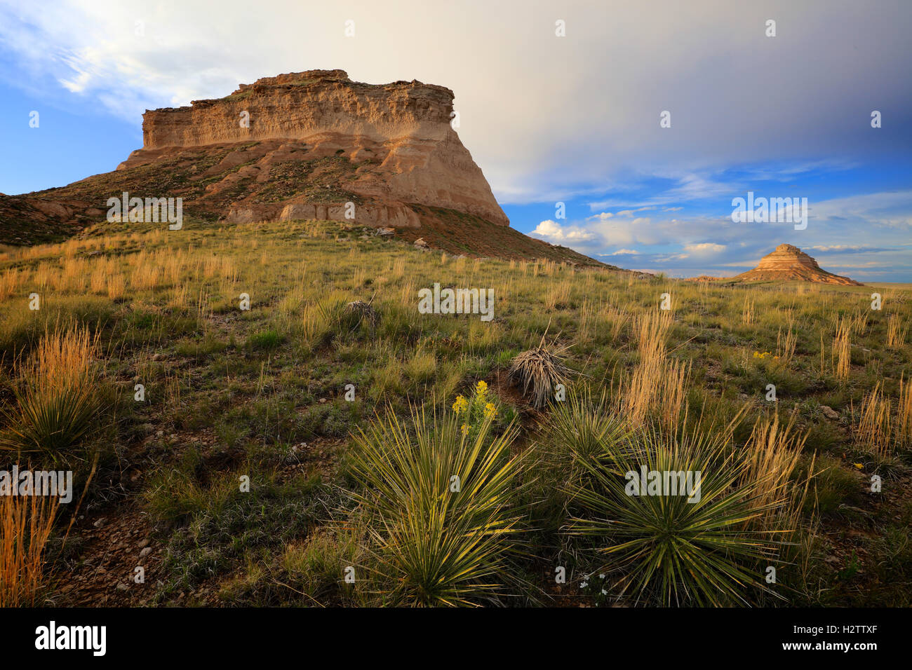 Colorado Great Plains Two Large Pawnee Buttes sticking up over national grassland and prairie Stock Photo