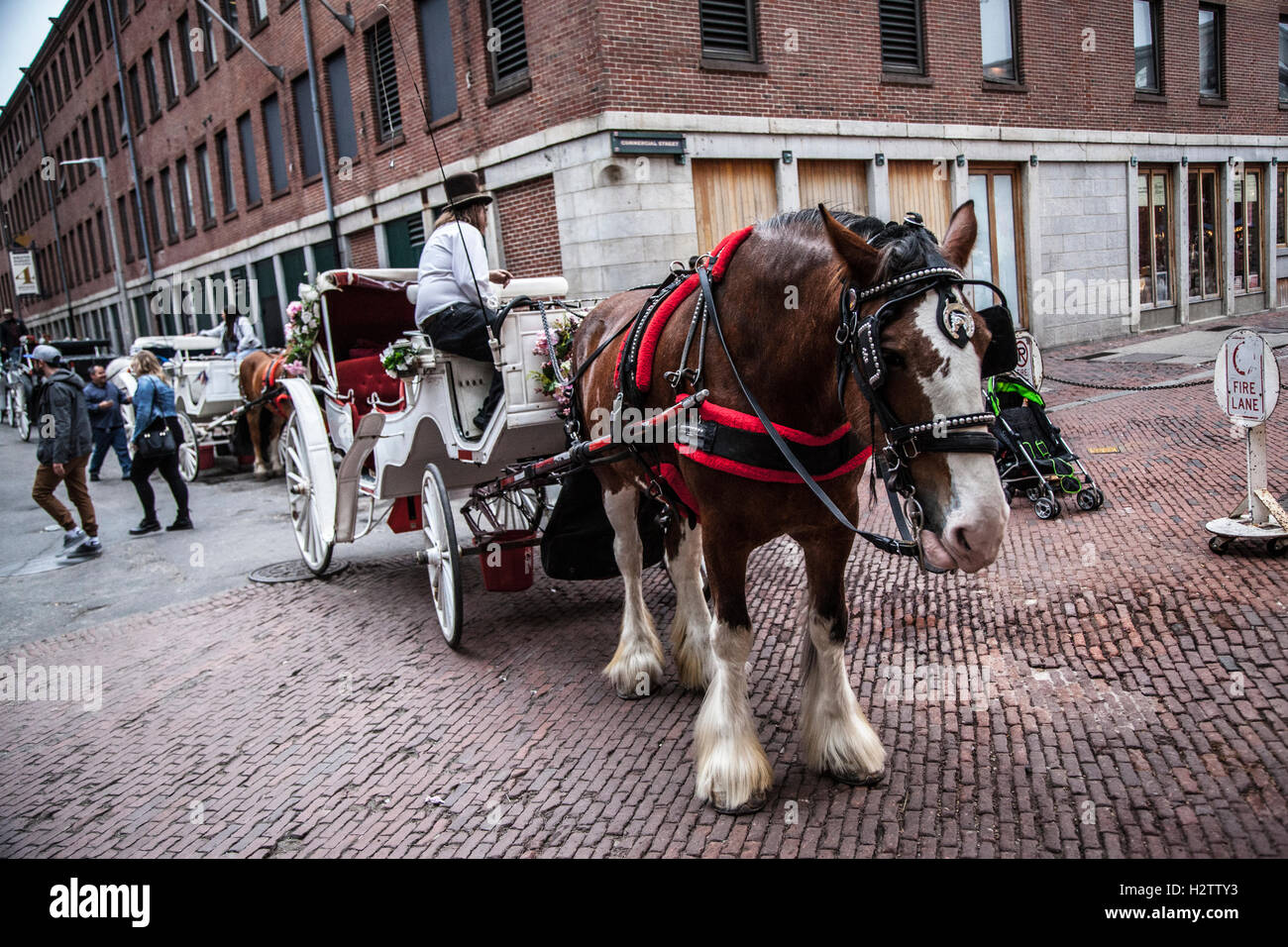 A horsedrawn carriage ride, Boston Stock Photo Alamy
