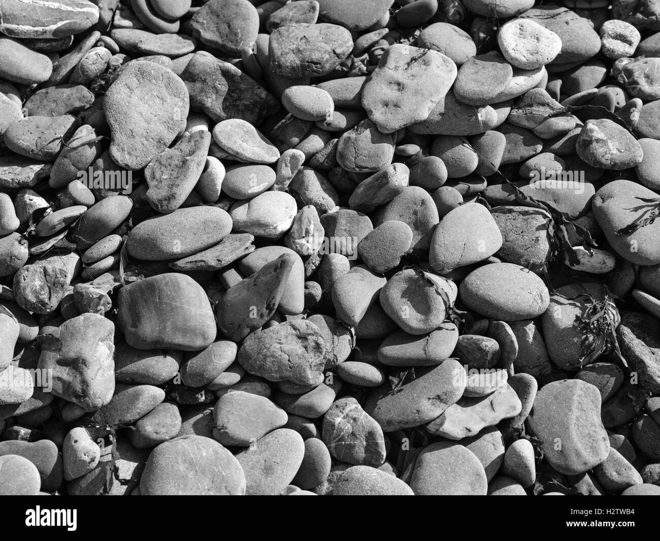 Cobbles on the beach, Homer Spit, Homer, Alaska. Stock Photo