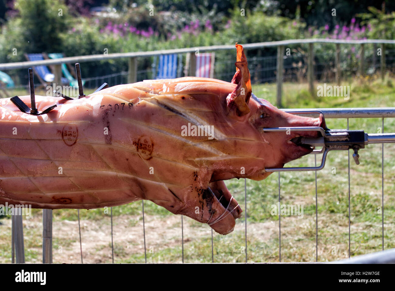 Pig roasting on a spit, Jimmy's Farm music festival, Ipswich, Suffolk, UK Stock Photo