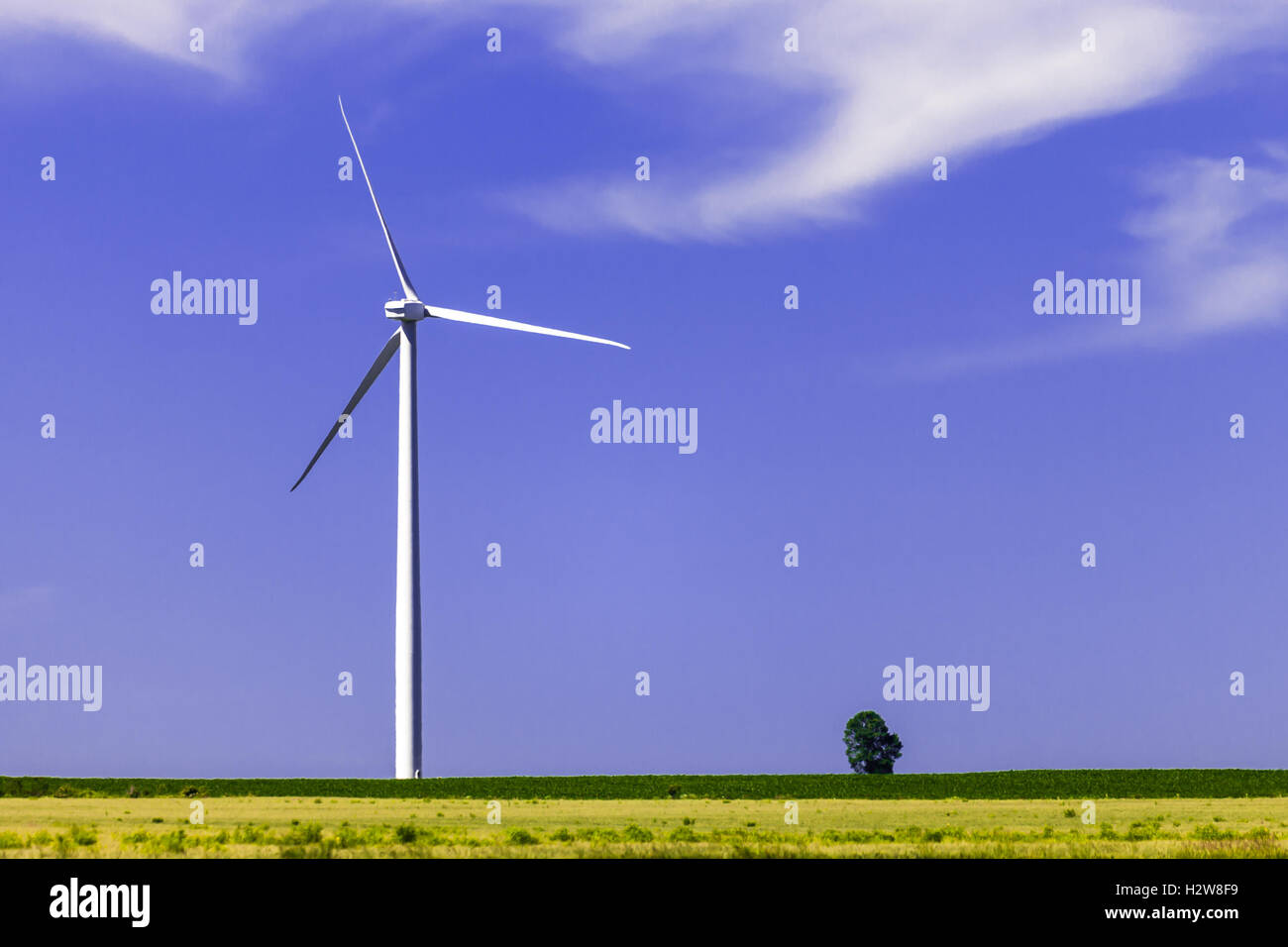 A combined wind and solar farm in Southwestern Ontario, Canada. The