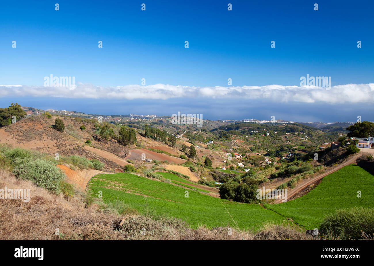 Central Gran Canaria, view north east over agricultural areas of the