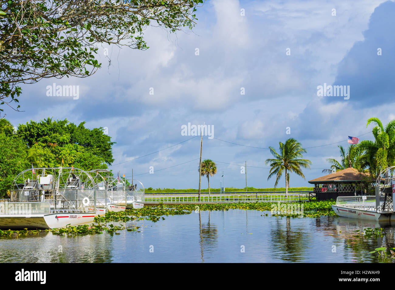 Everglades Airboat Excursion Stock Photo